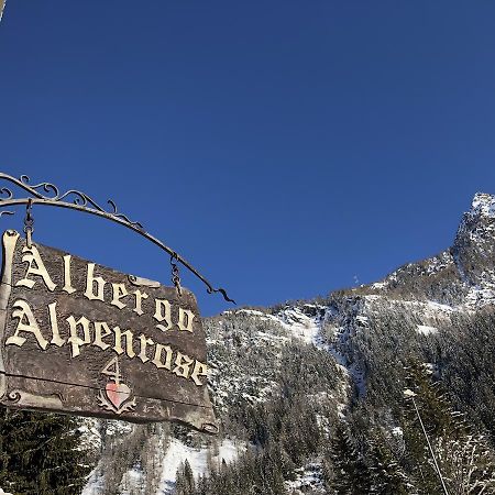 Albergo Alpenrose Ski&Bike Mountain Hotel Gressoney-Saint-Jean Dış mekan fotoğraf