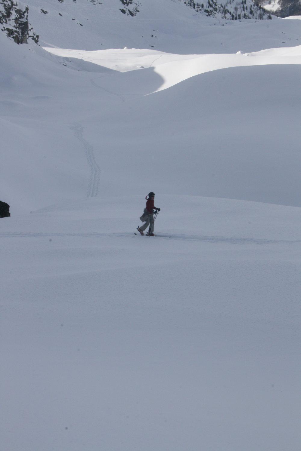 Albergo Alpenrose Ski&Bike Mountain Hotel Gressoney-Saint-Jean Dış mekan fotoğraf