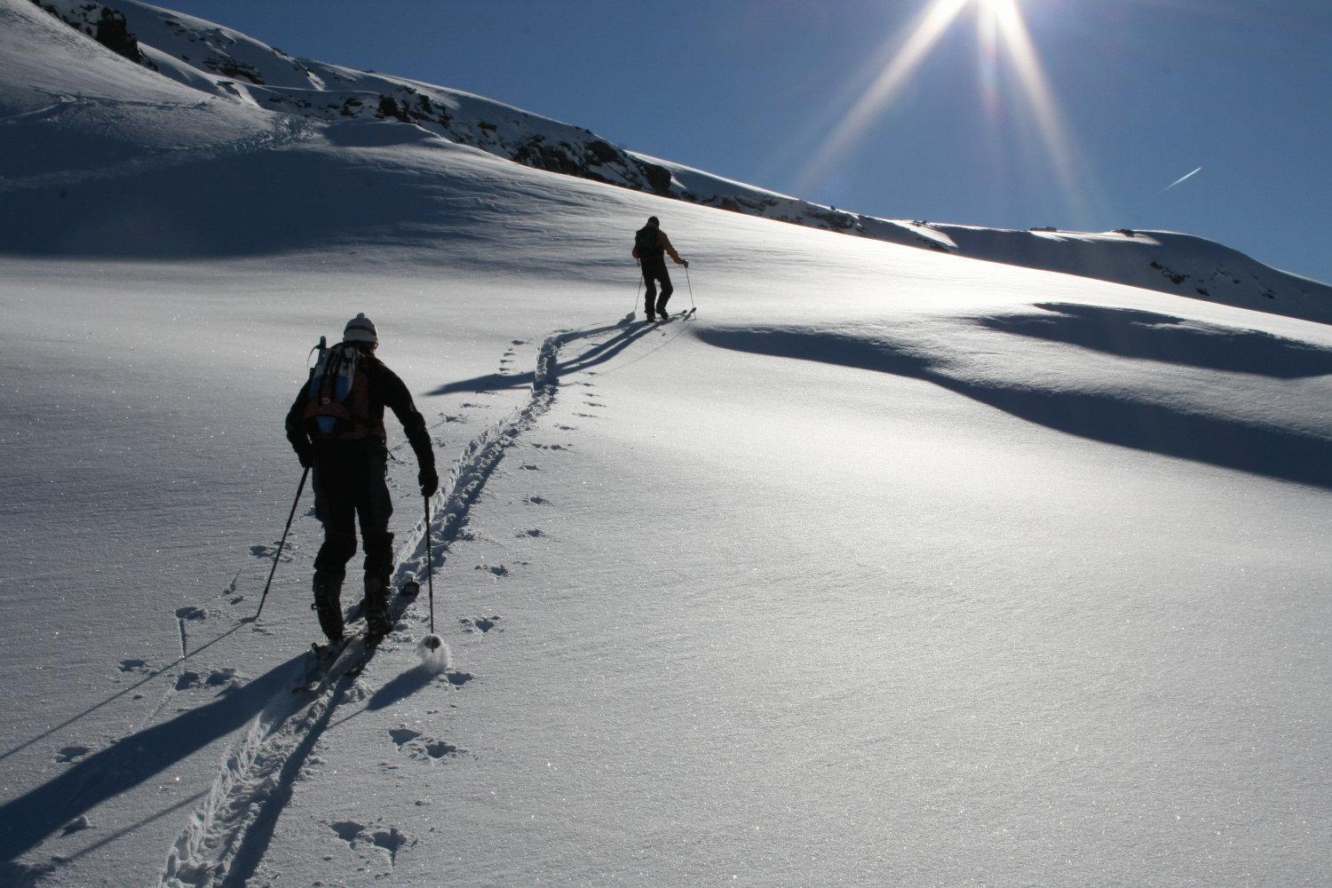 Albergo Alpenrose Ski&Bike Mountain Hotel Gressoney-Saint-Jean Dış mekan fotoğraf