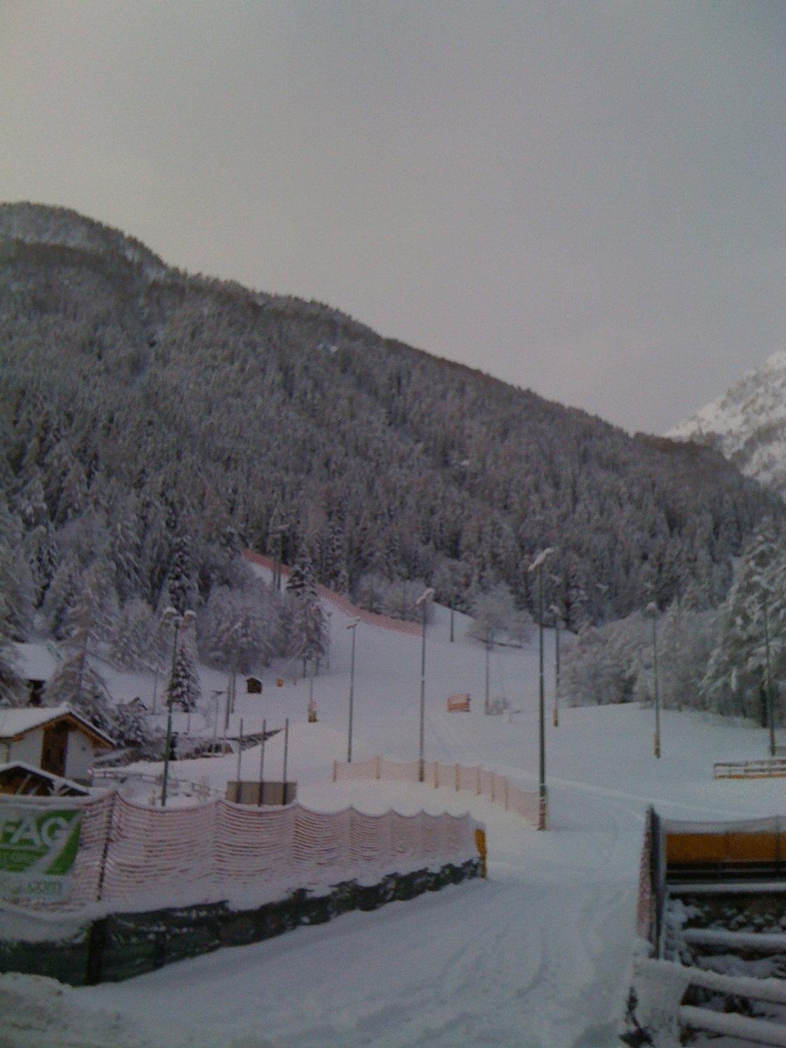 Albergo Alpenrose Ski&Bike Mountain Hotel Gressoney-Saint-Jean Dış mekan fotoğraf