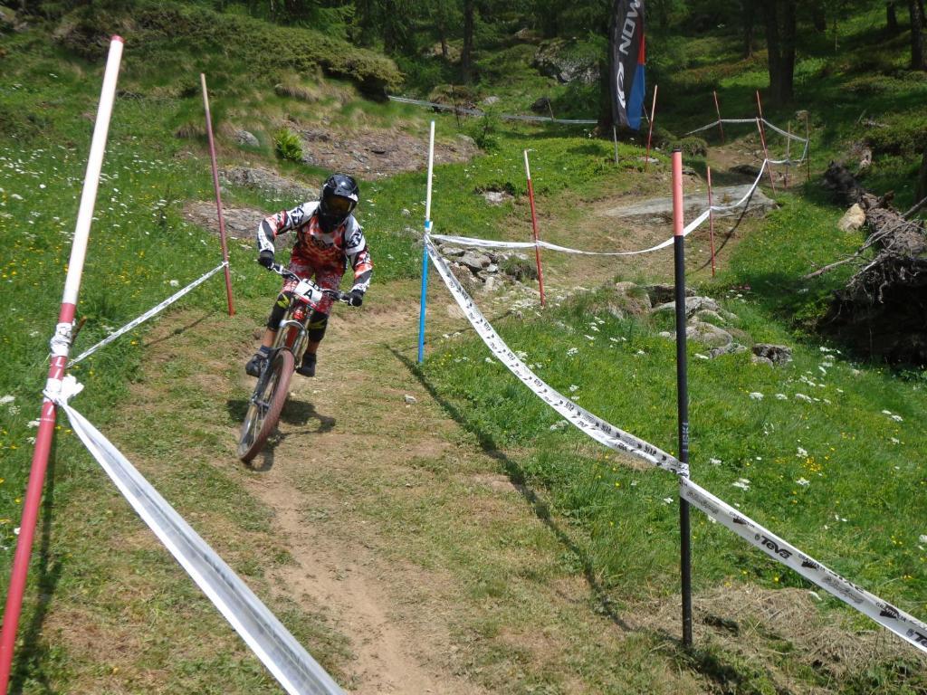 Albergo Alpenrose Ski&Bike Mountain Hotel Gressoney-Saint-Jean Dış mekan fotoğraf