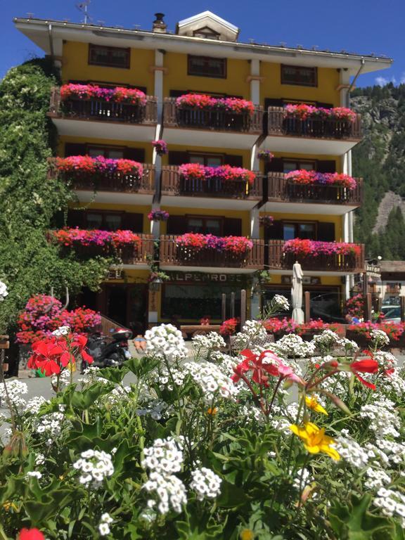 Albergo Alpenrose Ski&Bike Mountain Hotel Gressoney-Saint-Jean Dış mekan fotoğraf
