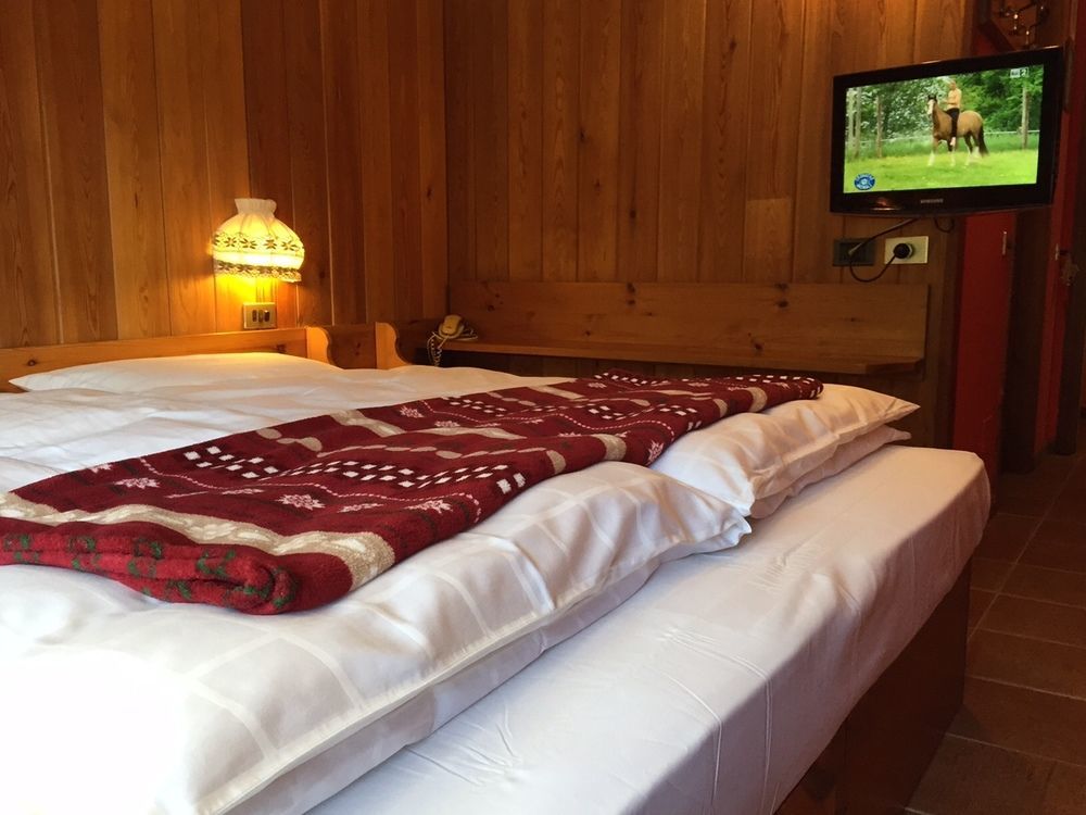Albergo Alpenrose Ski&Bike Mountain Hotel Gressoney-Saint-Jean Dış mekan fotoğraf