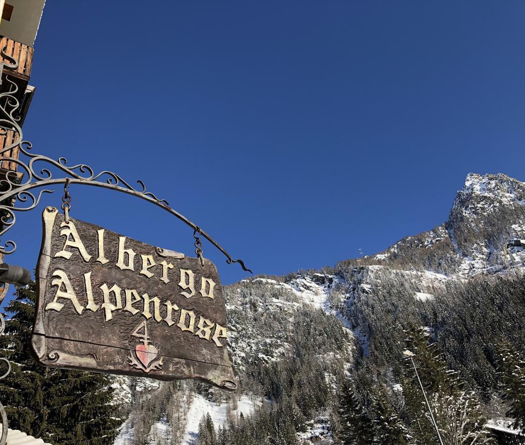Albergo Alpenrose Ski&Bike Mountain Hotel Gressoney-Saint-Jean Dış mekan fotoğraf