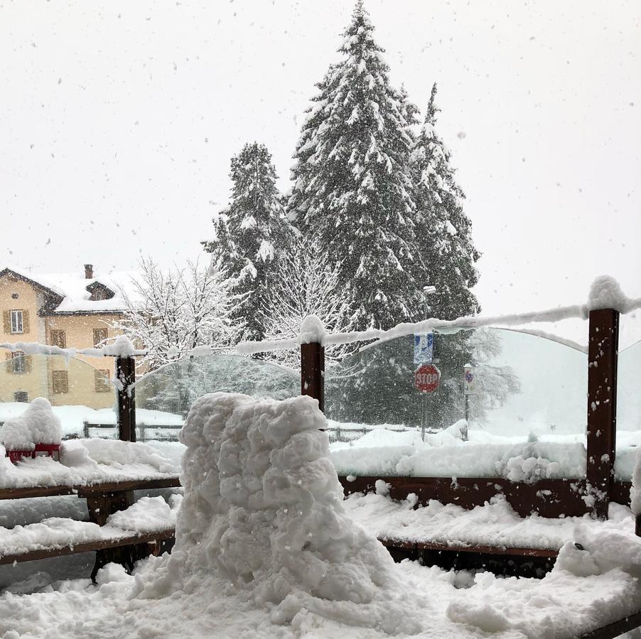 Albergo Alpenrose Ski&Bike Mountain Hotel Gressoney-Saint-Jean Dış mekan fotoğraf