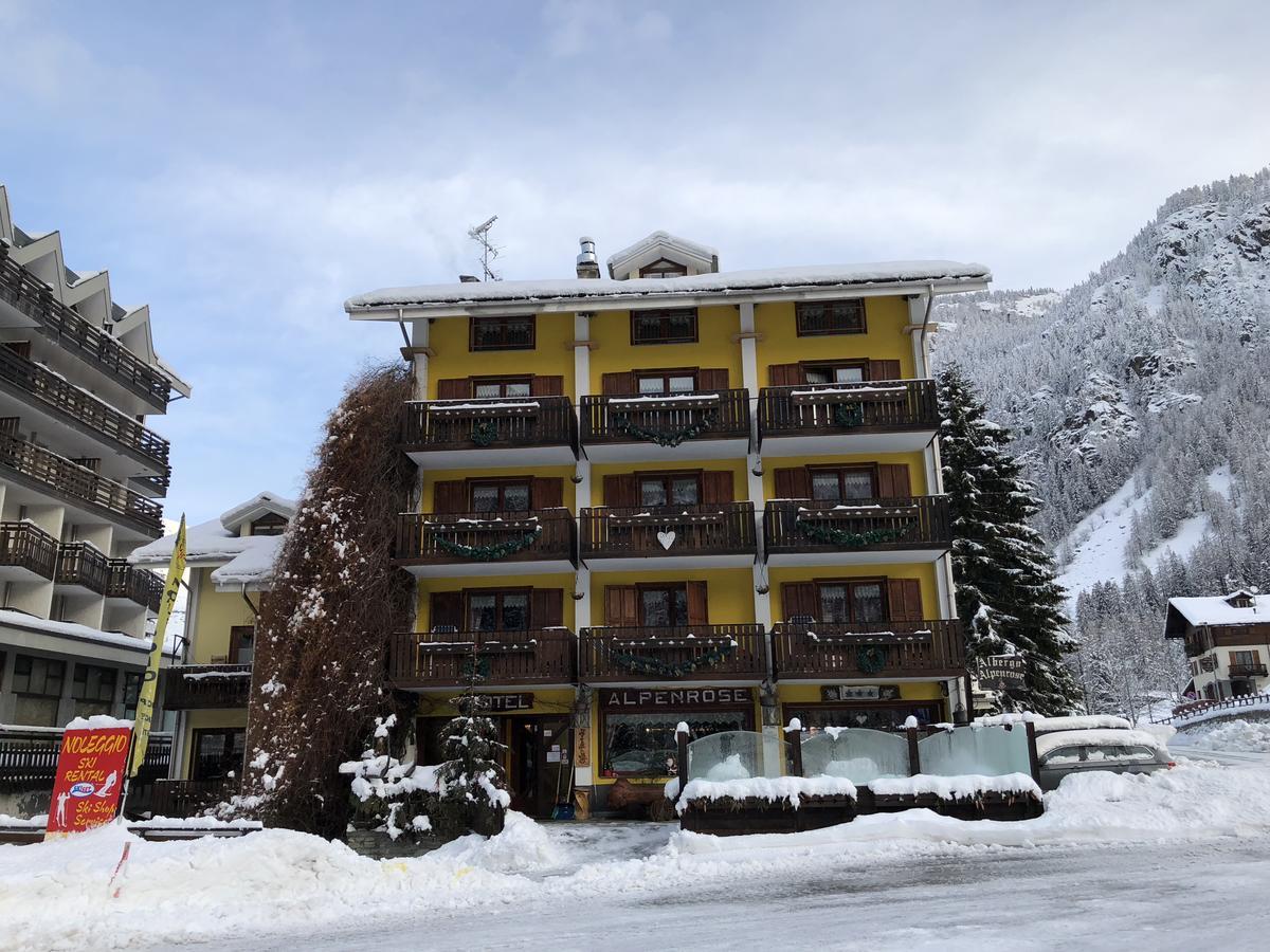 Albergo Alpenrose Ski&Bike Mountain Hotel Gressoney-Saint-Jean Dış mekan fotoğraf