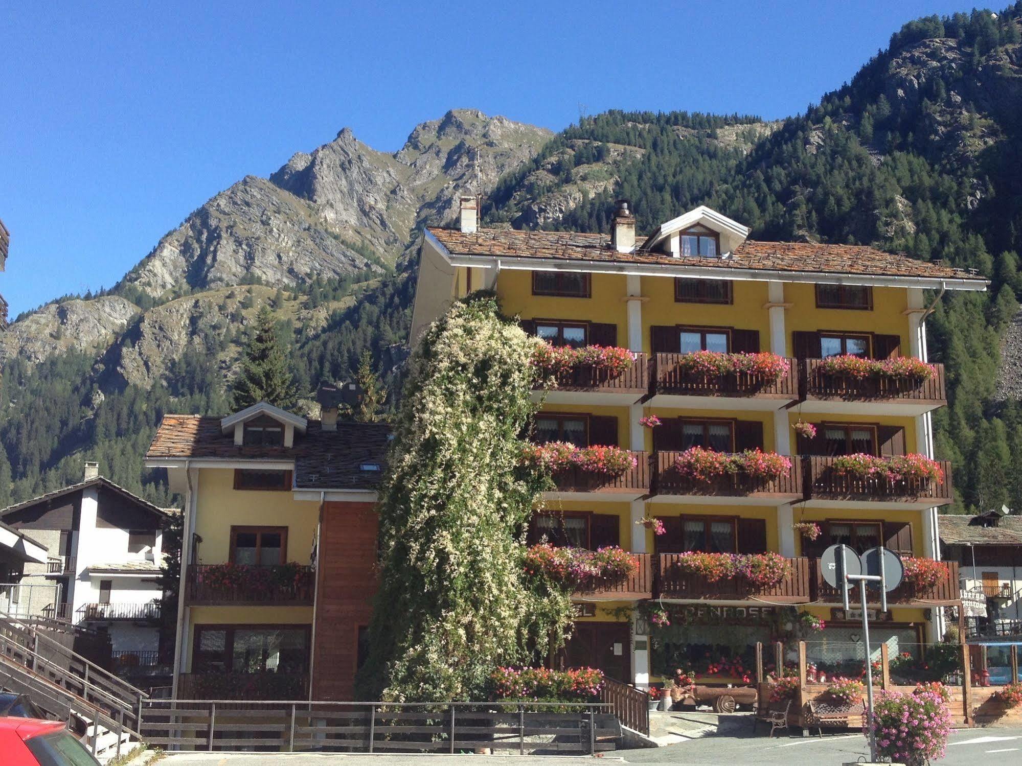 Albergo Alpenrose Ski&Bike Mountain Hotel Gressoney-Saint-Jean Dış mekan fotoğraf