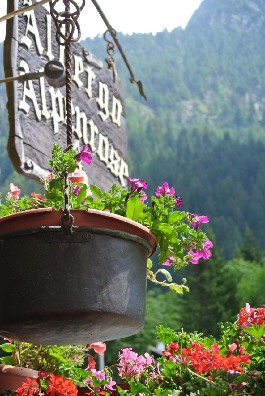 Albergo Alpenrose Ski&Bike Mountain Hotel Gressoney-Saint-Jean Dış mekan fotoğraf