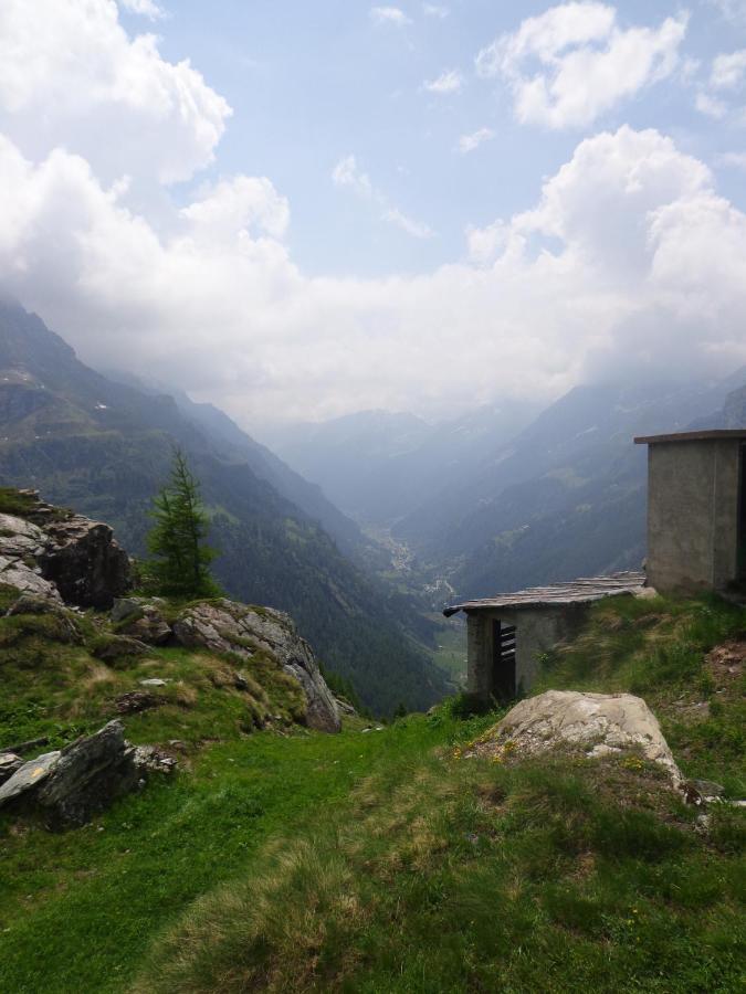 Albergo Alpenrose Ski&Bike Mountain Hotel Gressoney-Saint-Jean Dış mekan fotoğraf